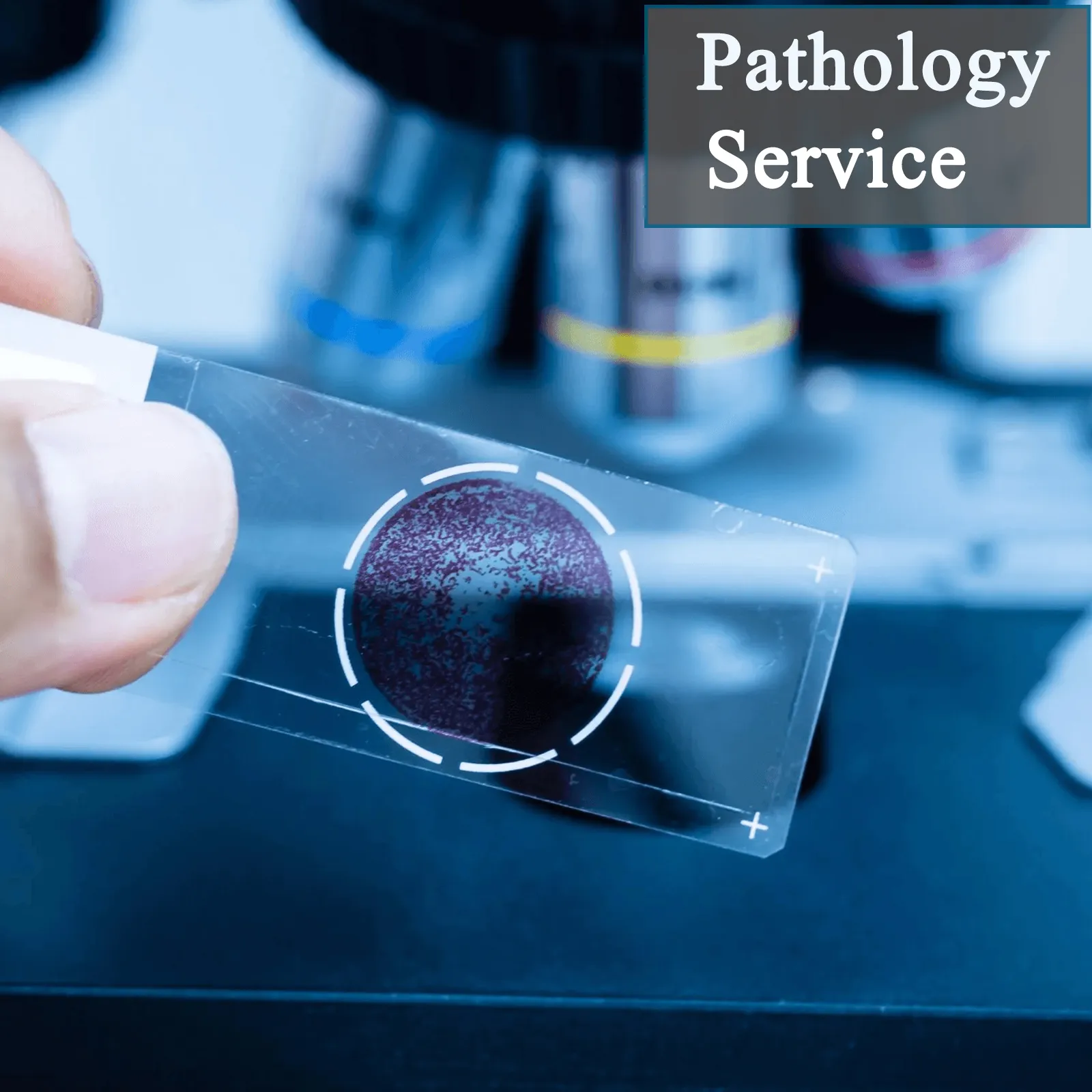 Pathology